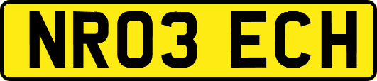 NR03ECH