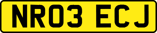 NR03ECJ