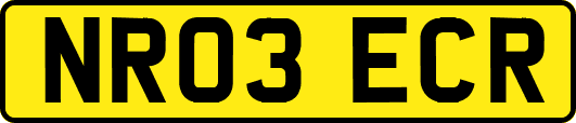 NR03ECR