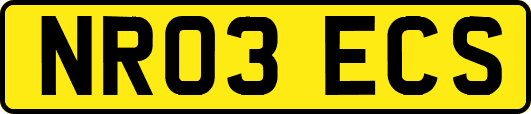 NR03ECS