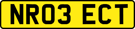 NR03ECT