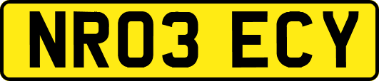 NR03ECY