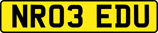 NR03EDU