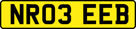 NR03EEB