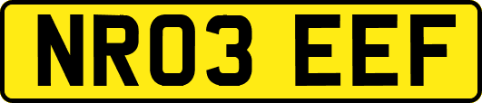 NR03EEF