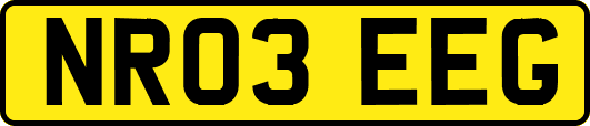 NR03EEG