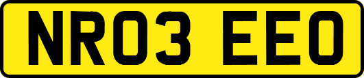NR03EEO