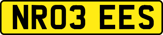 NR03EES