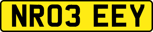 NR03EEY