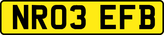 NR03EFB
