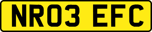 NR03EFC