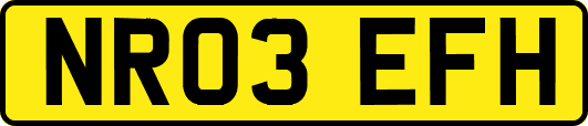 NR03EFH