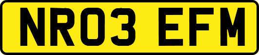 NR03EFM