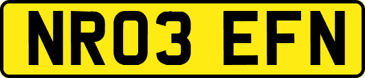 NR03EFN