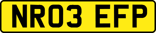 NR03EFP