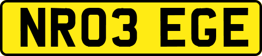 NR03EGE
