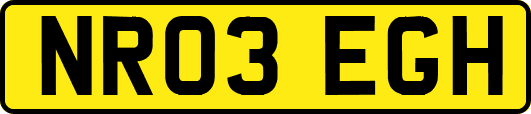NR03EGH