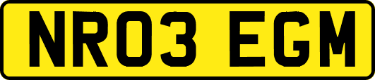 NR03EGM