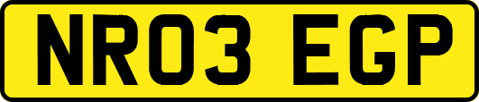 NR03EGP