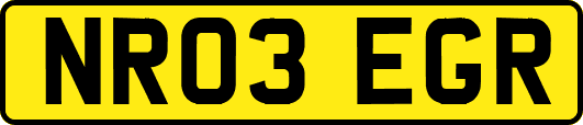 NR03EGR