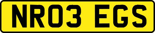NR03EGS
