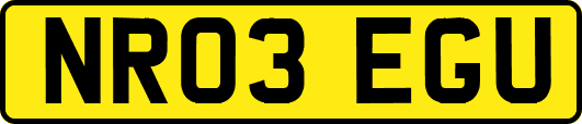 NR03EGU