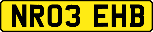 NR03EHB