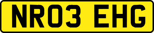 NR03EHG