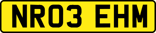 NR03EHM