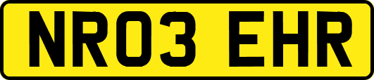 NR03EHR