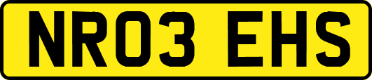 NR03EHS