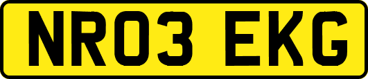 NR03EKG