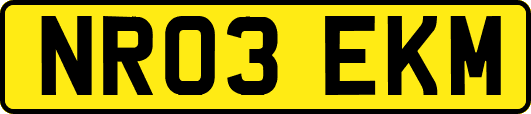 NR03EKM