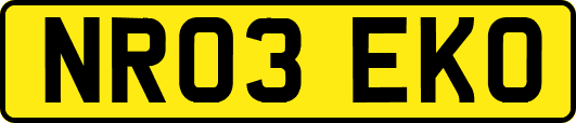NR03EKO