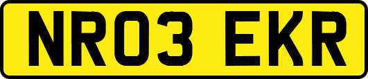 NR03EKR