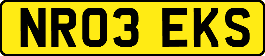 NR03EKS