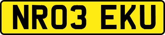NR03EKU