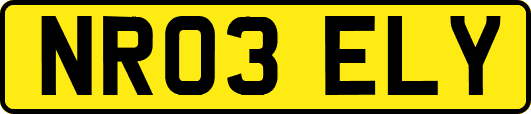 NR03ELY