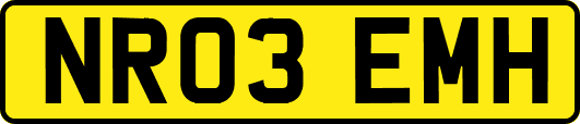 NR03EMH