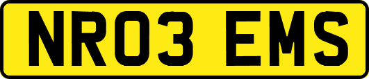 NR03EMS