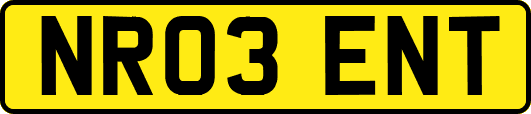 NR03ENT