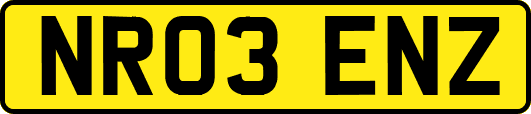 NR03ENZ