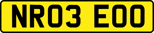 NR03EOO