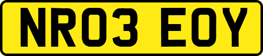NR03EOY