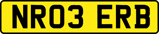 NR03ERB
