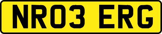 NR03ERG
