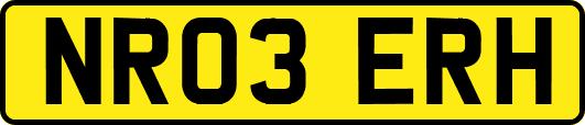 NR03ERH