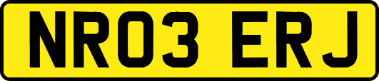 NR03ERJ