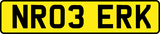 NR03ERK