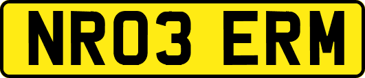 NR03ERM